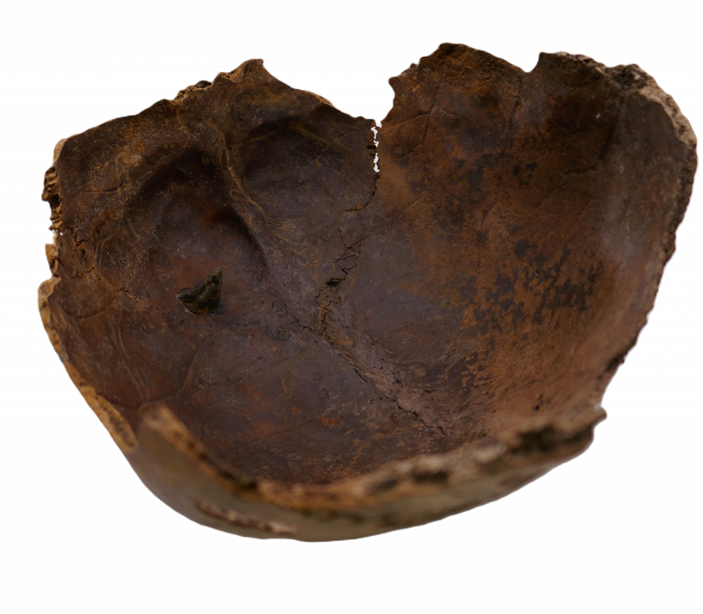 Kämpfer aus dem Süden? Die Pfeilspitzen aus dem Tollensetal 4 Abb. 3 Schaedel