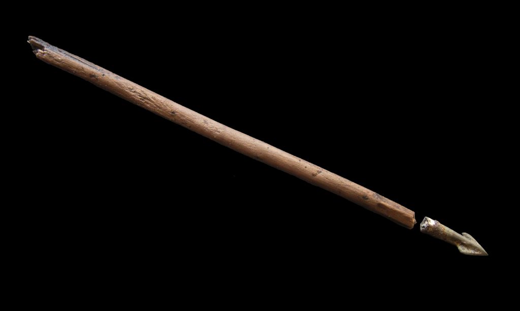 Kämpfer aus dem Süden? Die Pfeilspitzen aus dem Tollensetal 7 Abb. 6 Pfeilschaft