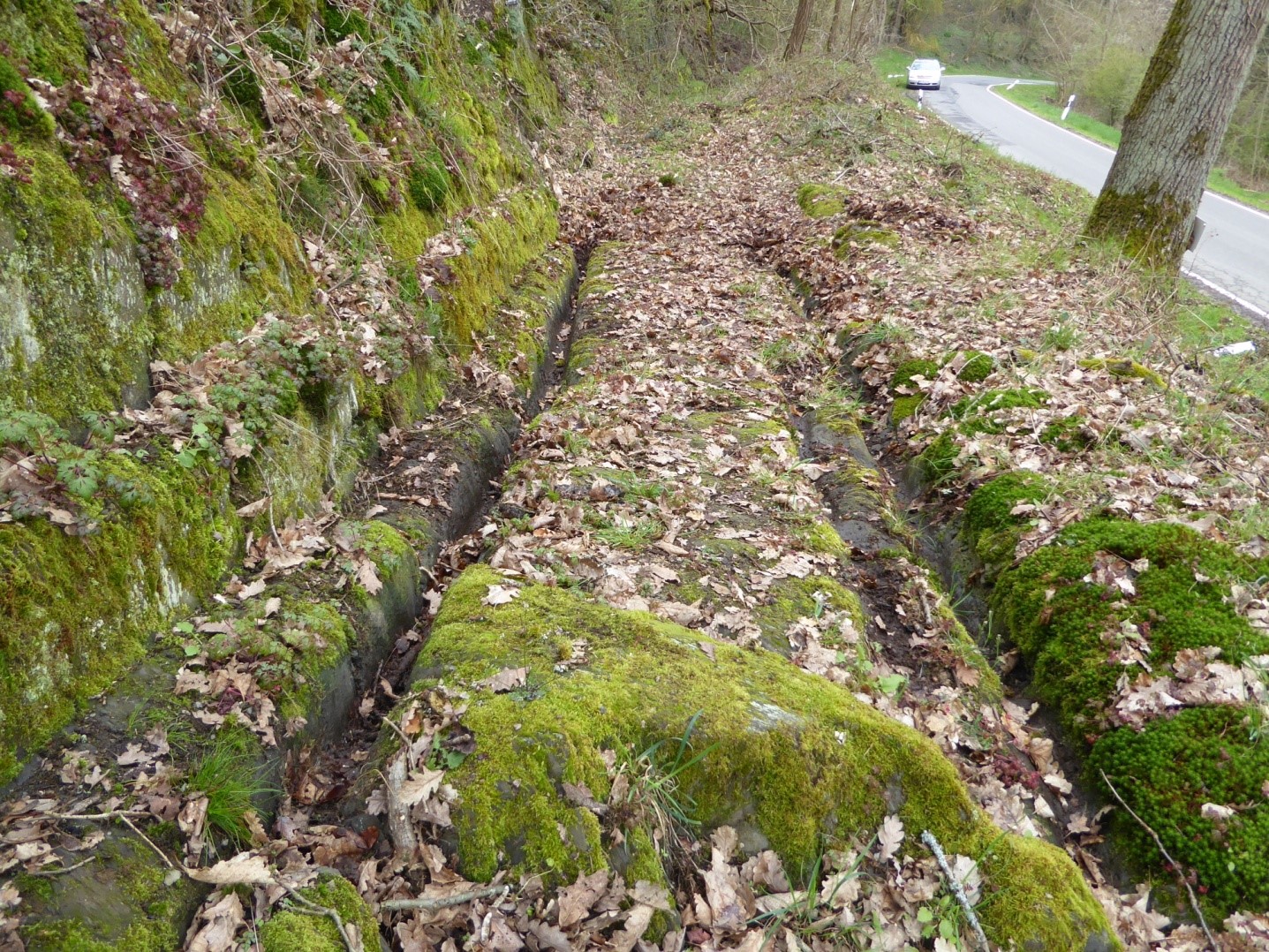 Cart Rutz Cart Ruts in Mittel- und Südamerika - Wunderkammer der Kulturgeschichte