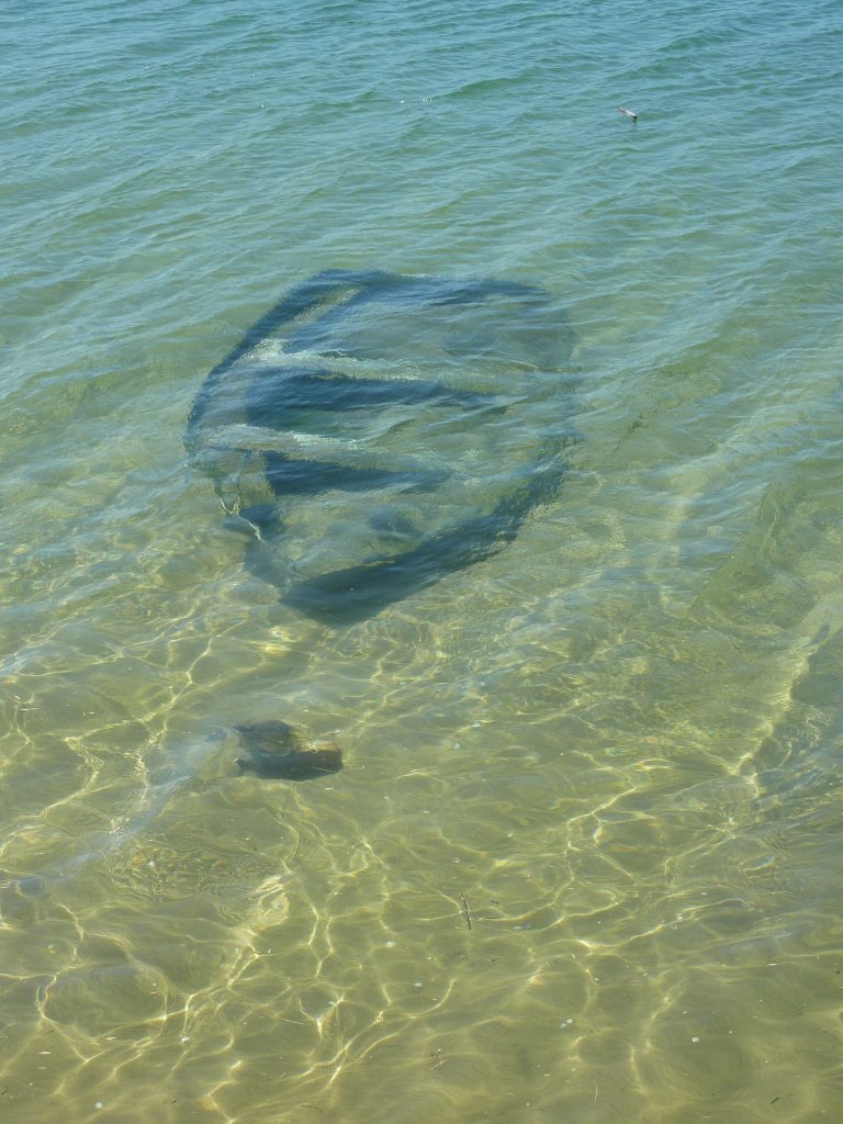 Versunkene Orte 2 9.4. P1140687